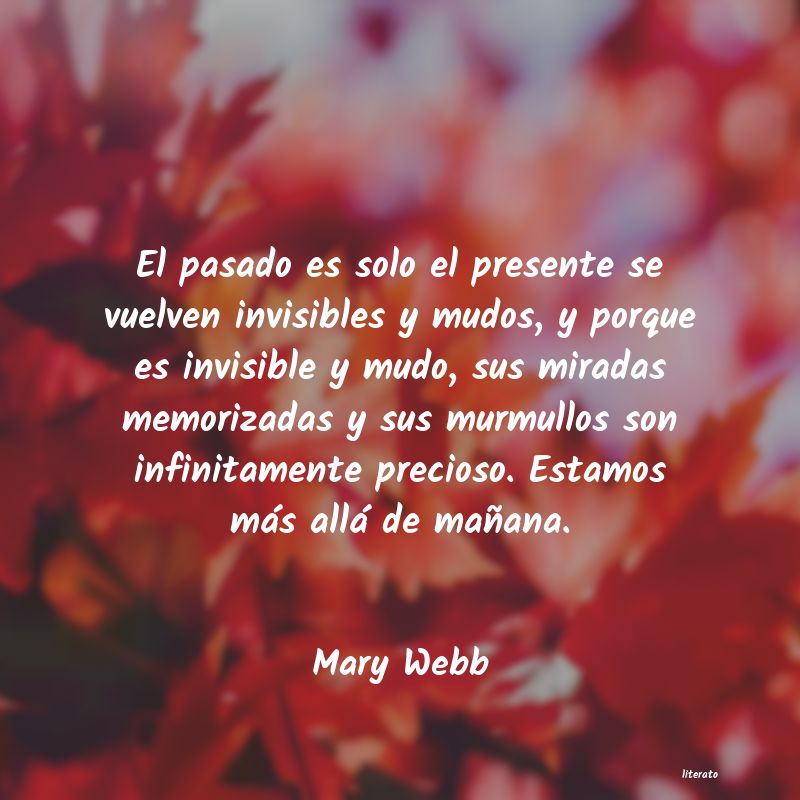 Frases de Mary Webb