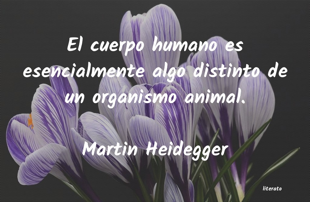 Frases de Martin Heidegger