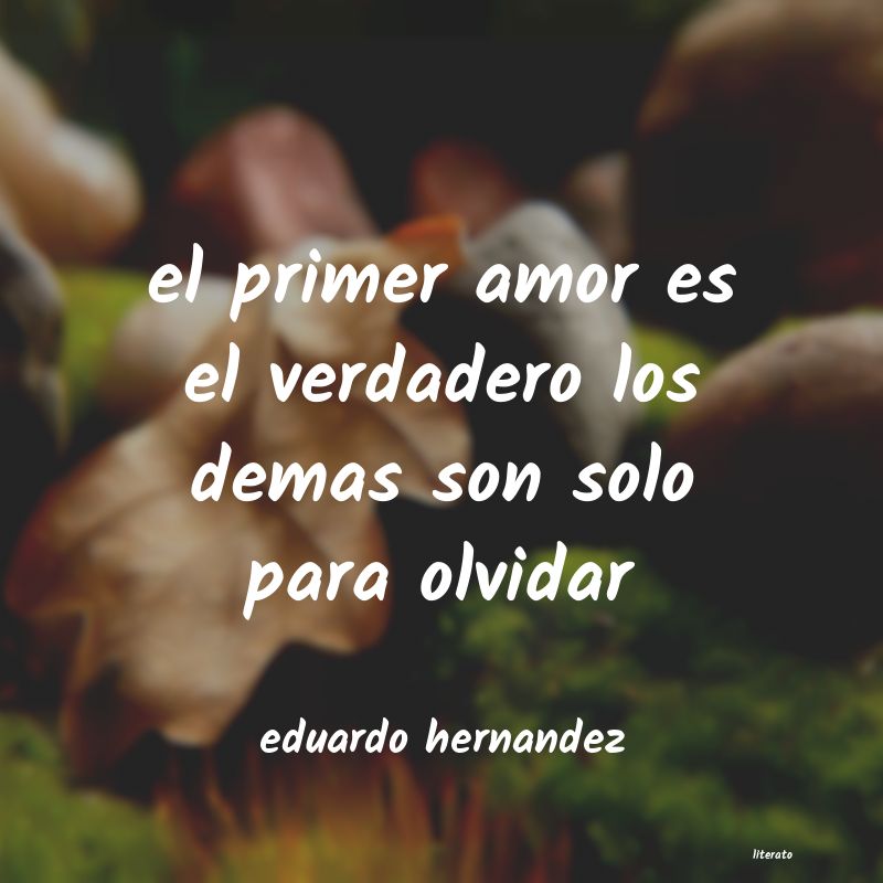 Frases de eduardo hernandez