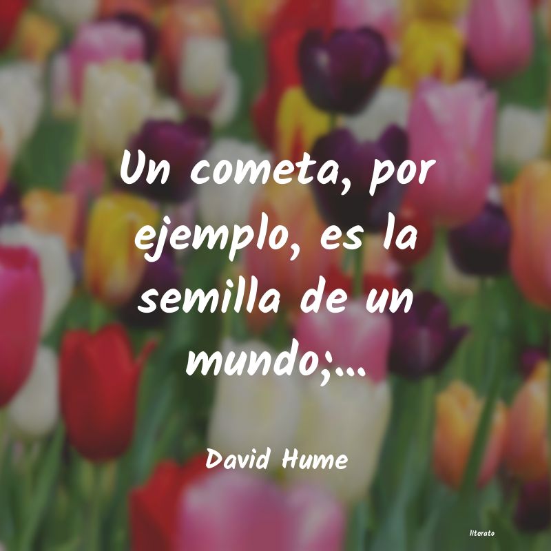 frases de David Hume