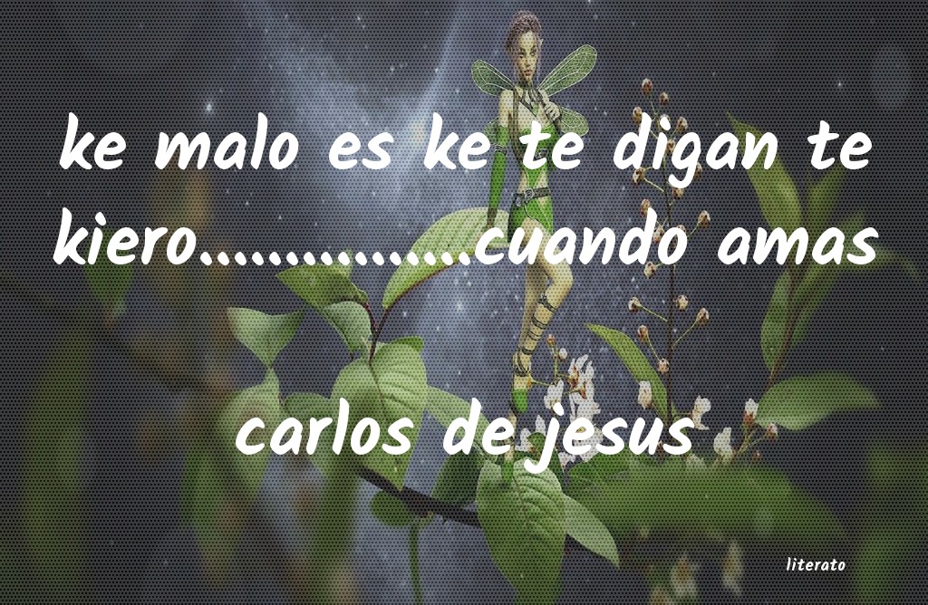 Frases de carlos de jesus