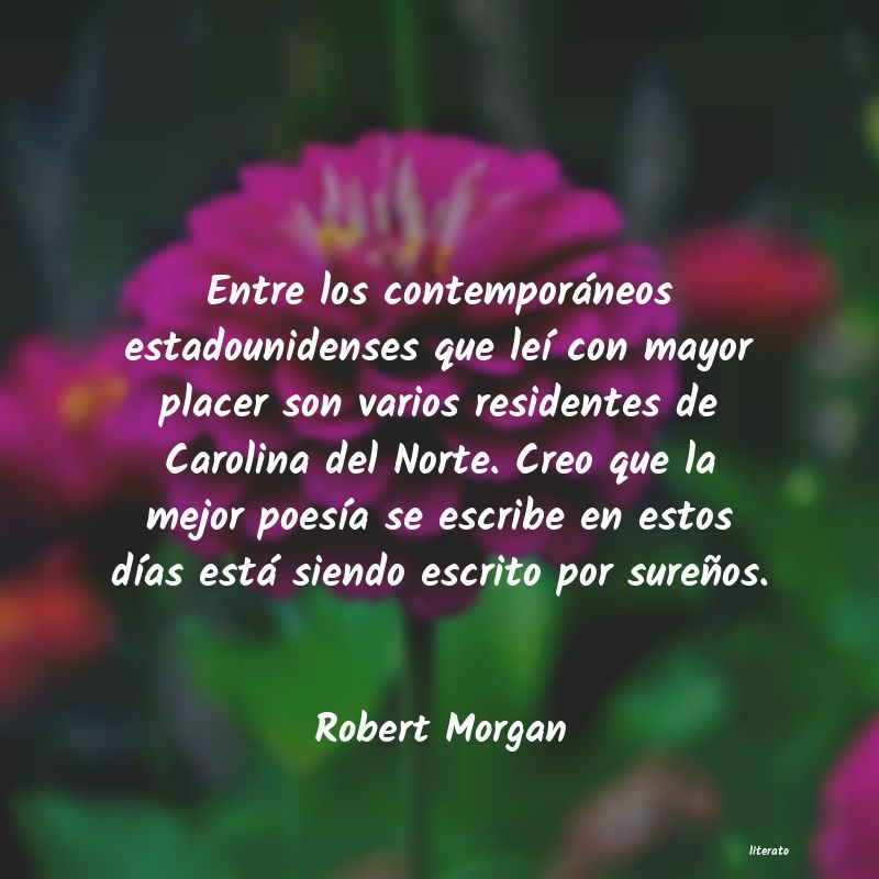 Frases de Robert Morgan