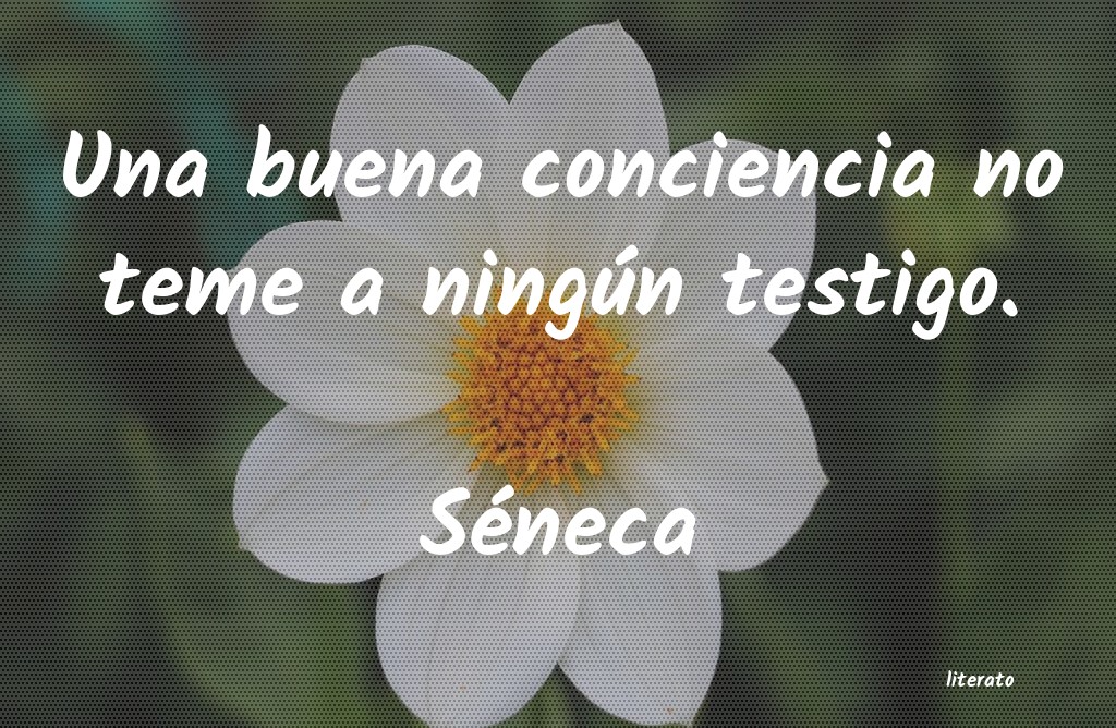 frases de Séneca