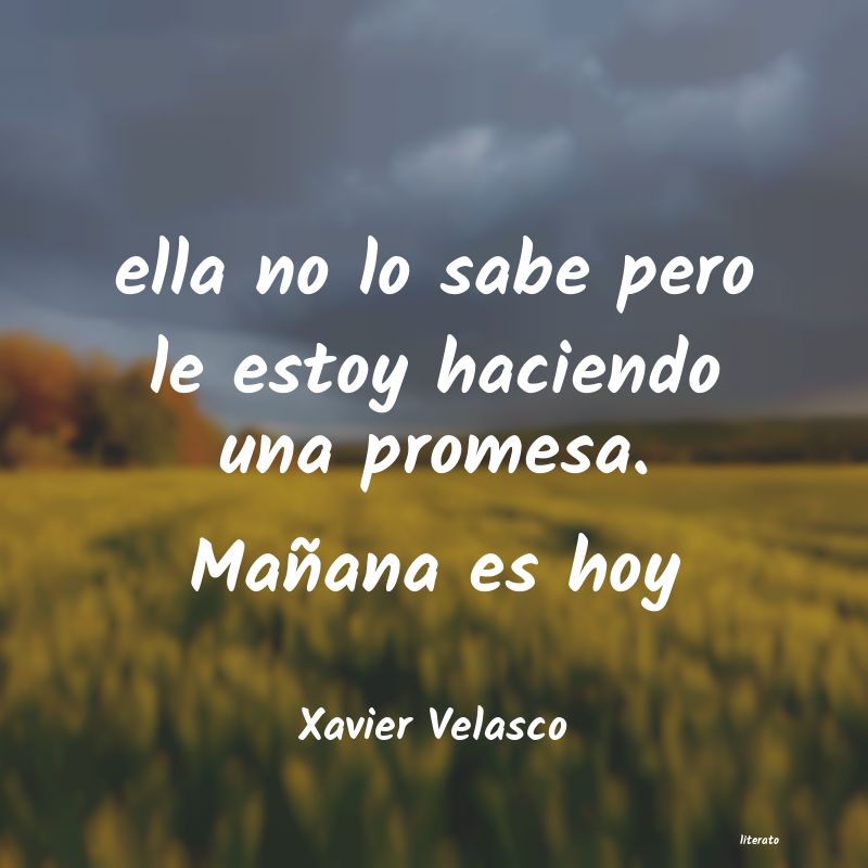 Frases de Xavier Velasco