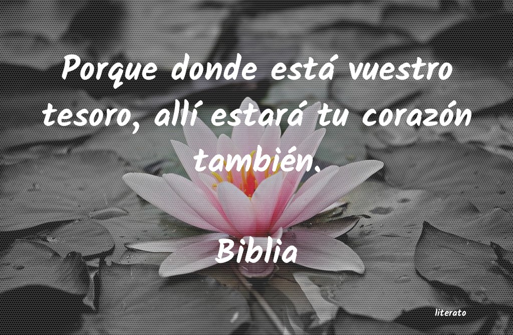 Frases de Biblia