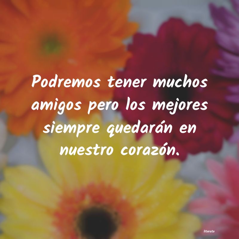 Frases de