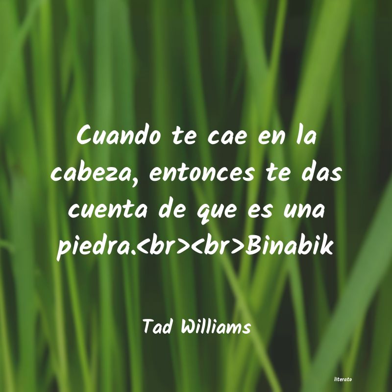 Frases de Tad Williams