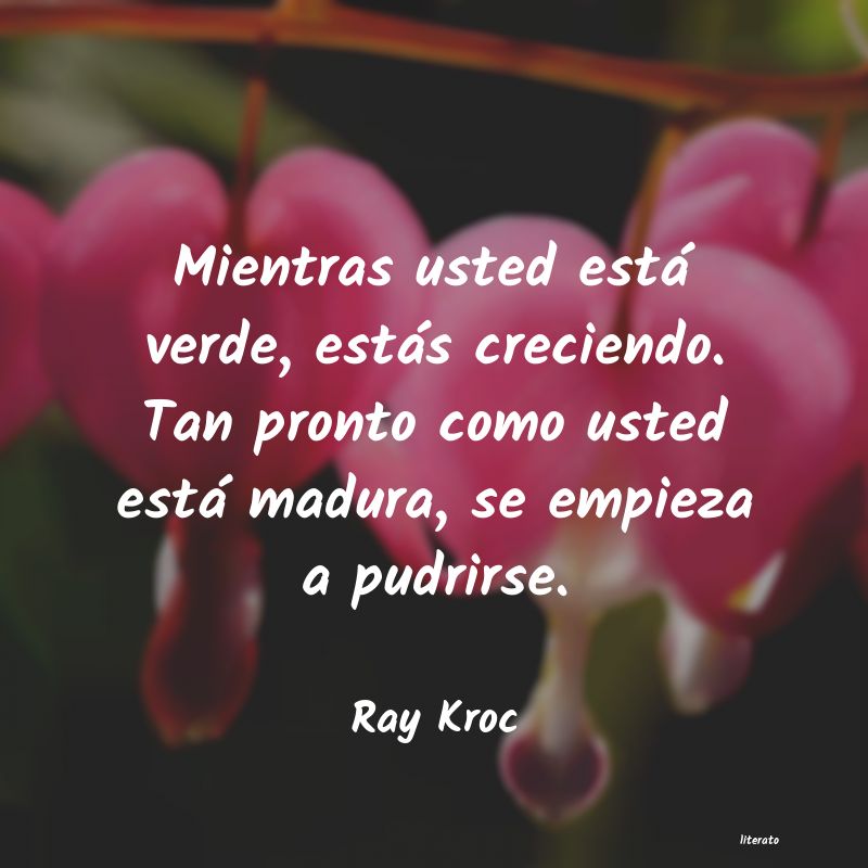 Frases de Ray Kroc