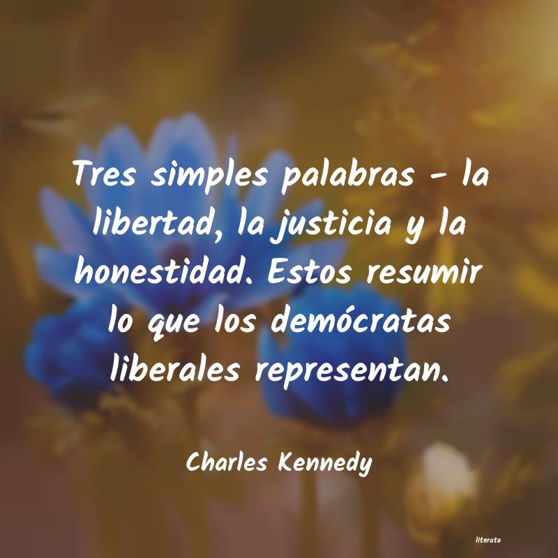 Frases de Charles Kennedy