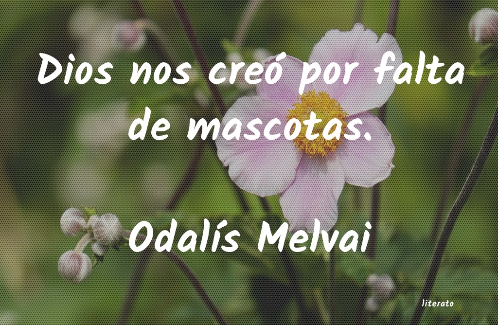 Frases de Odalís Melvai