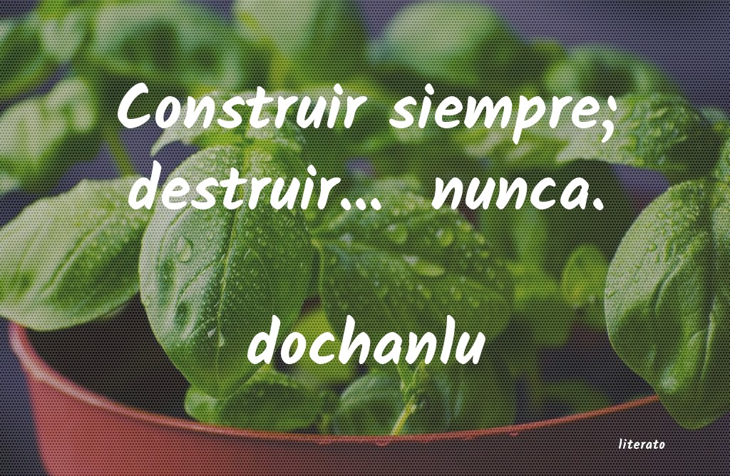 Frases de dochanlu