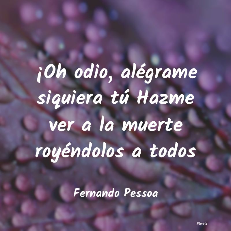 Frases de Fernando Pessoa