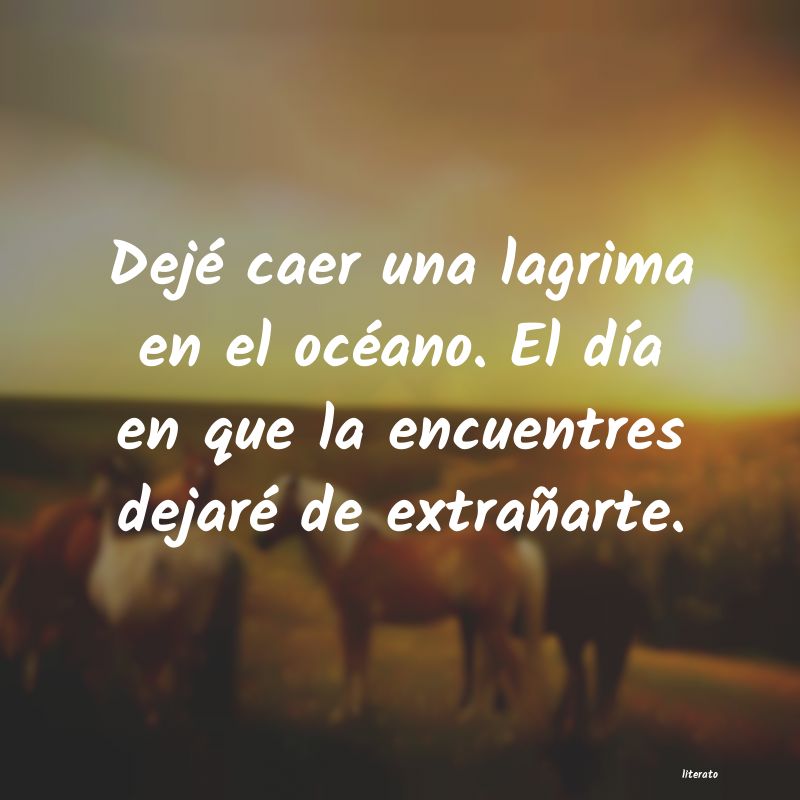 frases