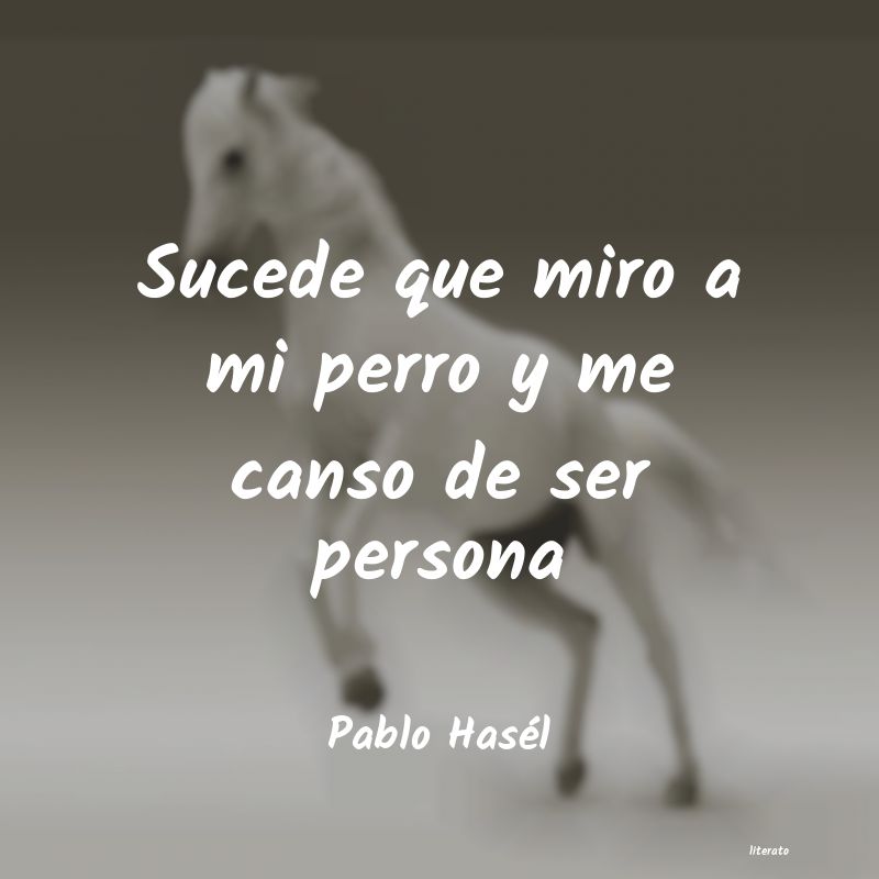 frases de Pablo Hasél
