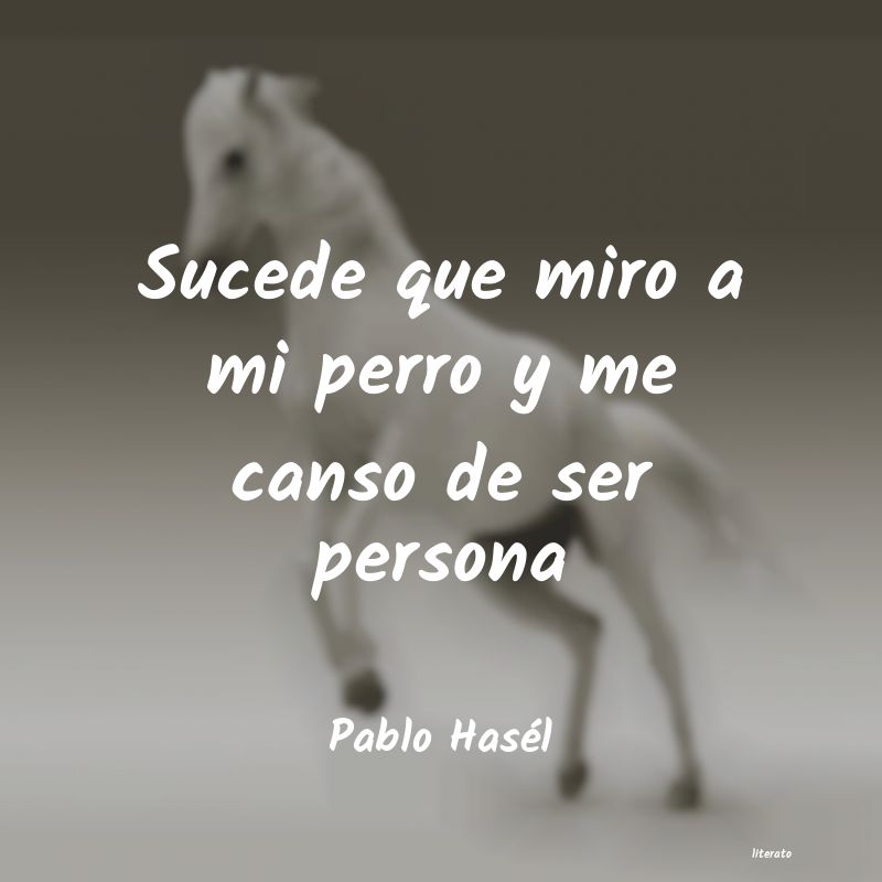 Frases de Pablo Hasél