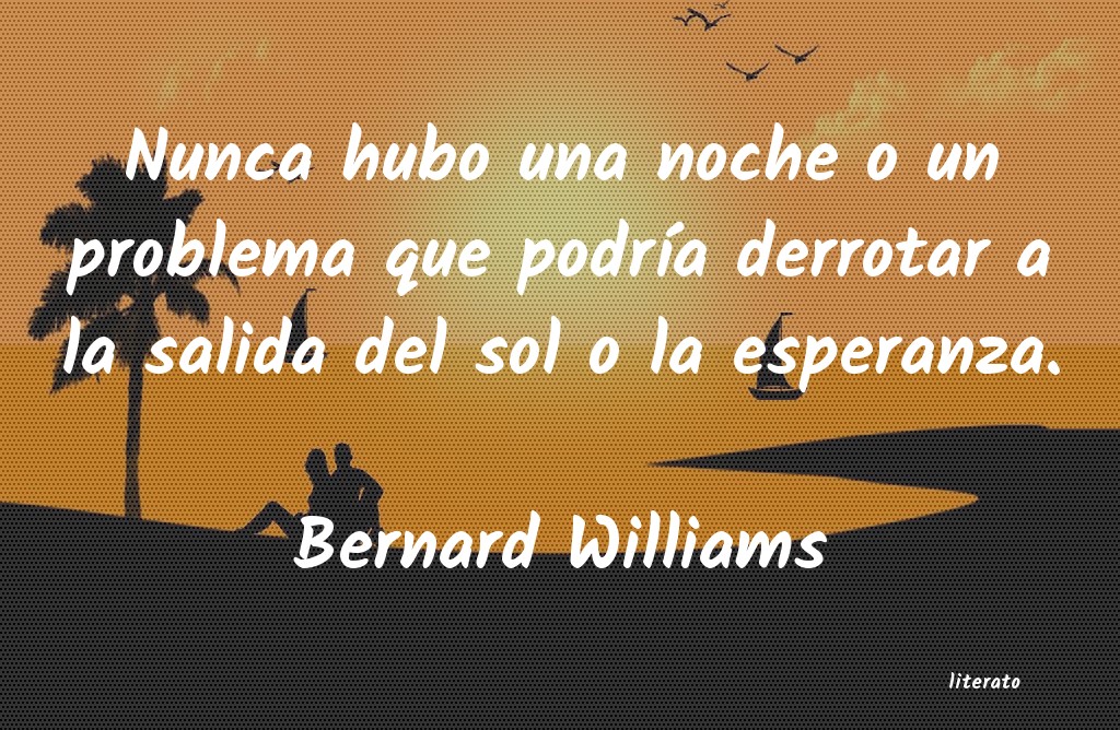 Frases de Bernard Williams