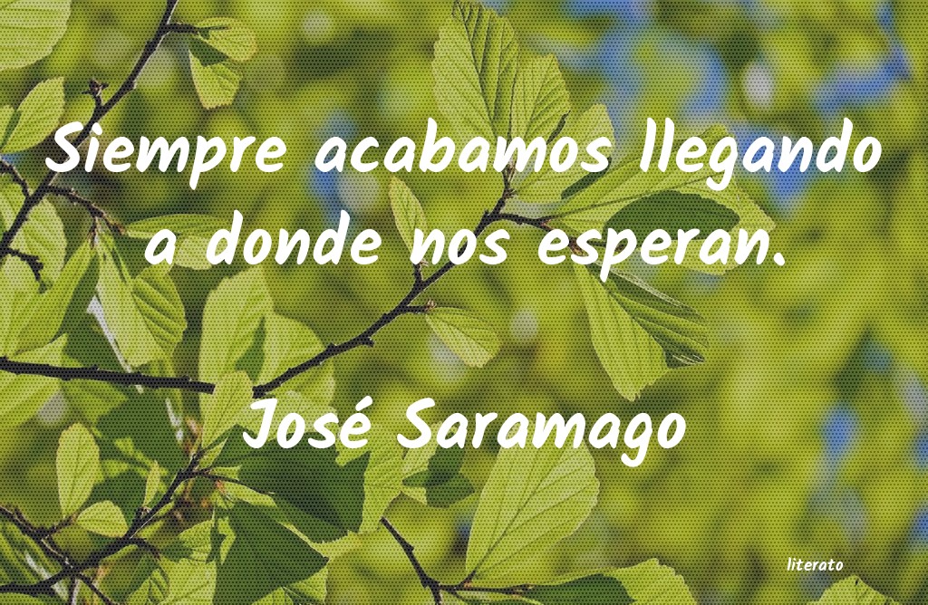 Frases de José Saramago