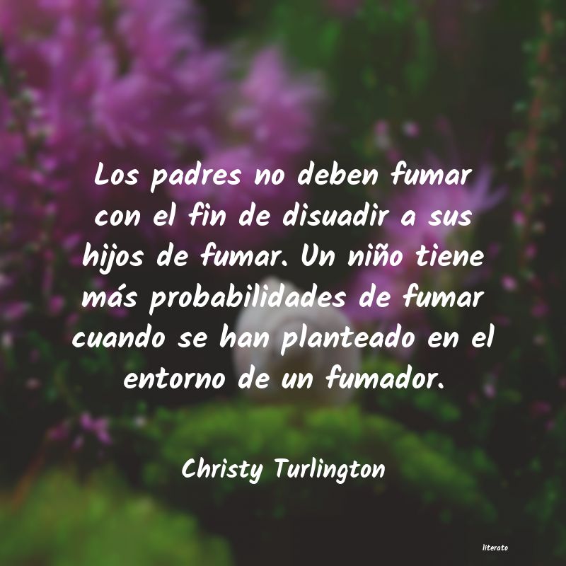 Frases de Christy Turlington