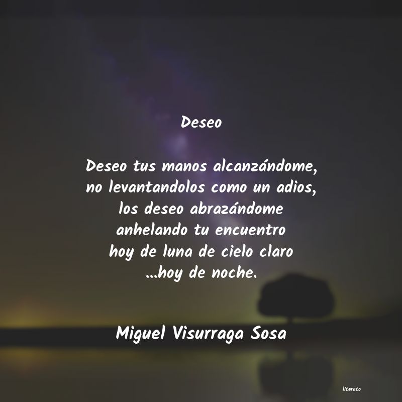 frases de Miguel Visurraga Sosa