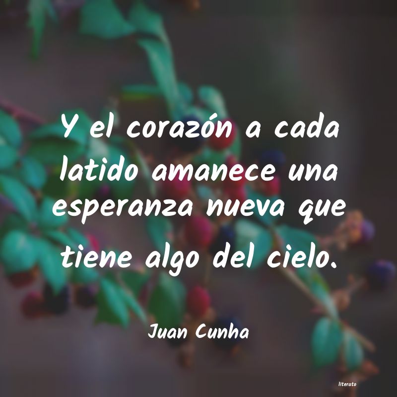 frases de Juan Cunha