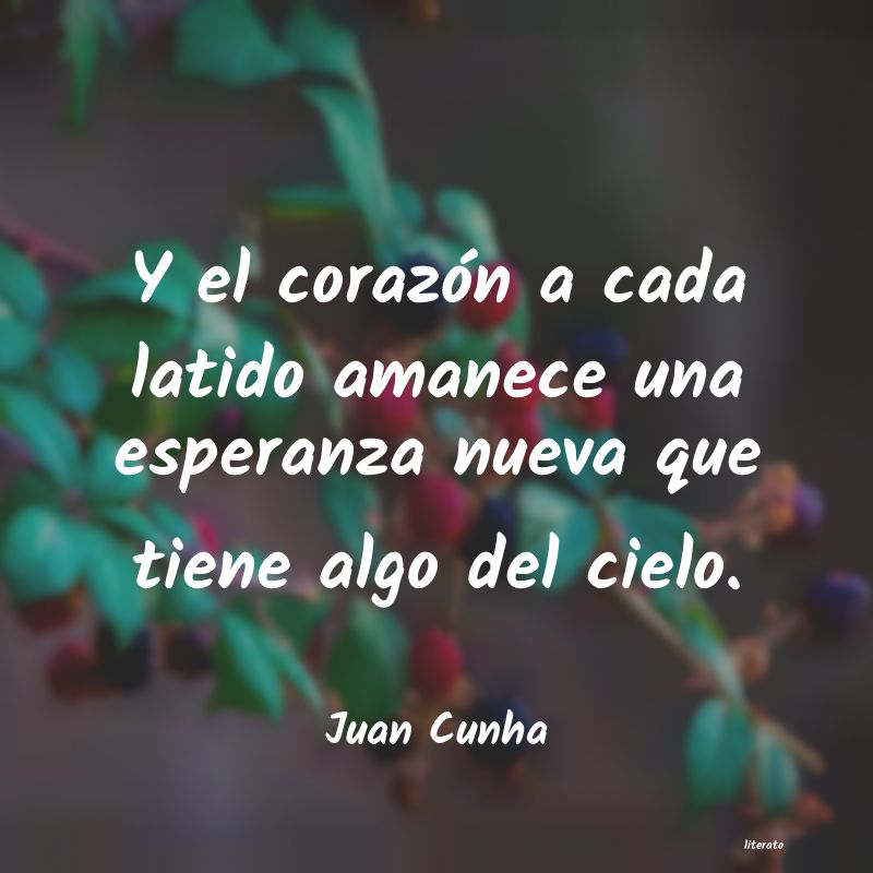 Frases de Juan Cunha