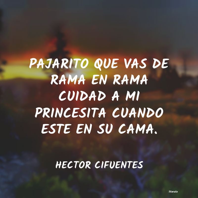 frases de HECTOR CIFUENTES