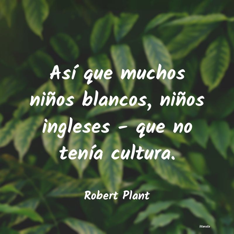 Frases de Robert Plant