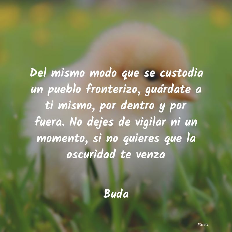 frases de Buda