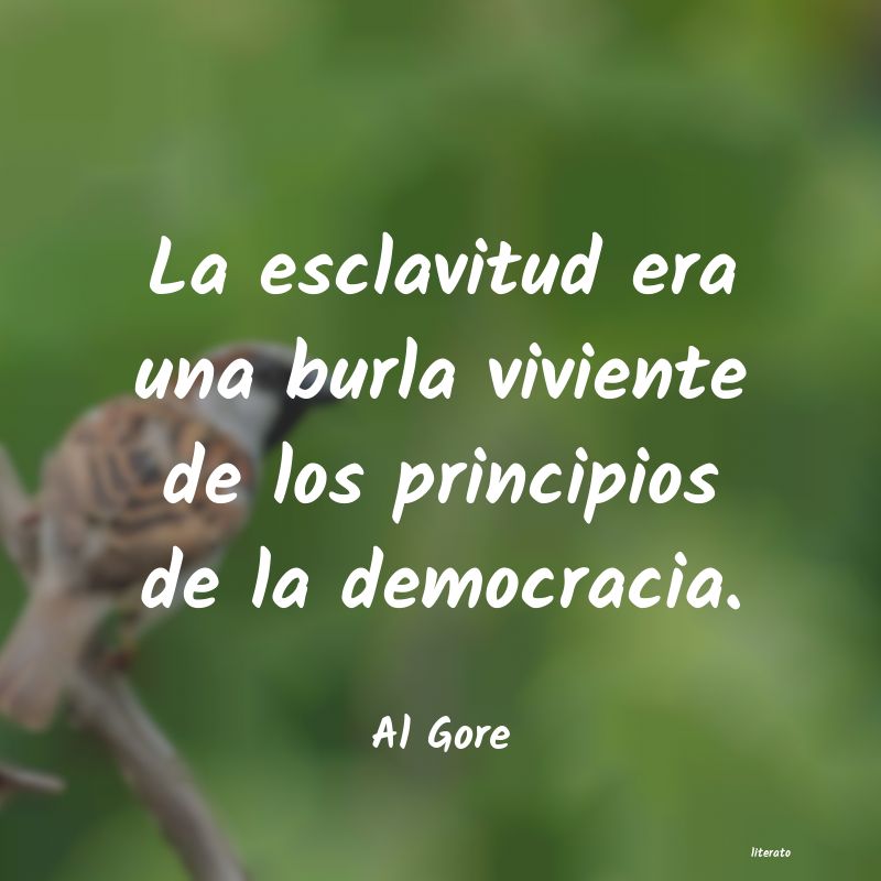 frases de Al Gore