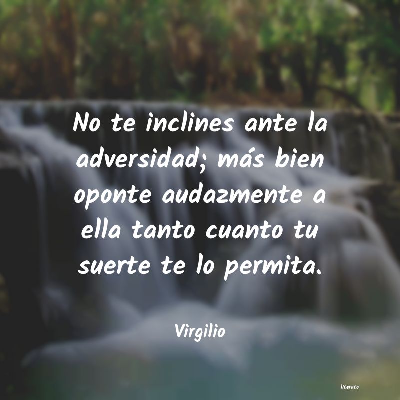 Frases de Virgilio