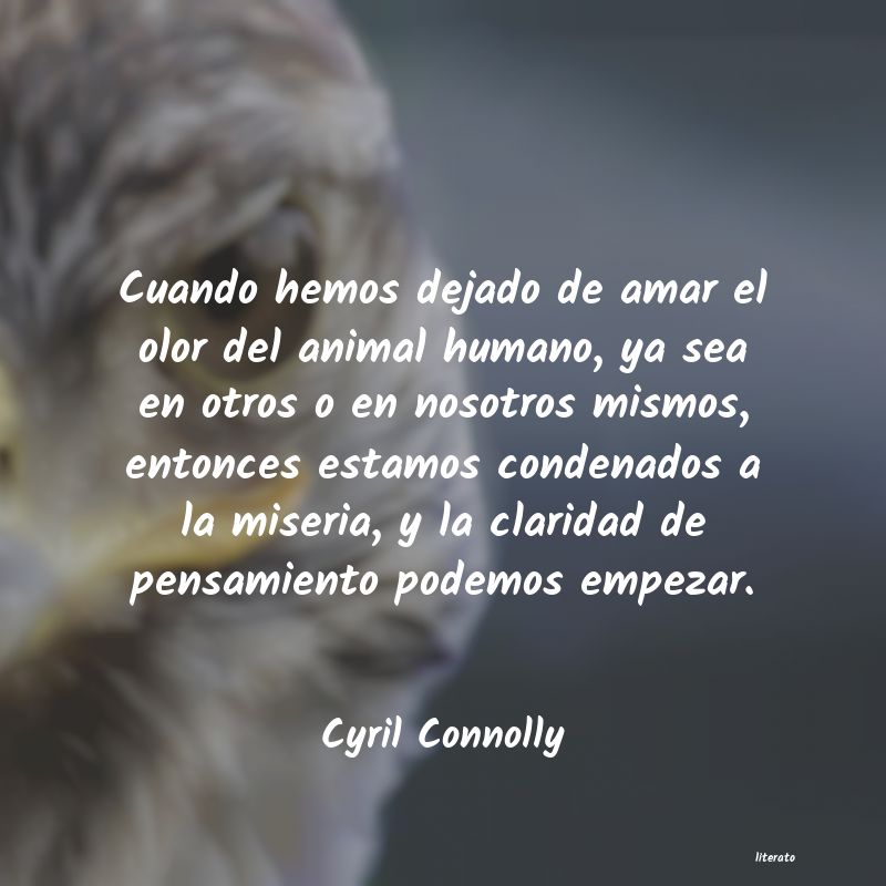 Frases de Cyril Connolly