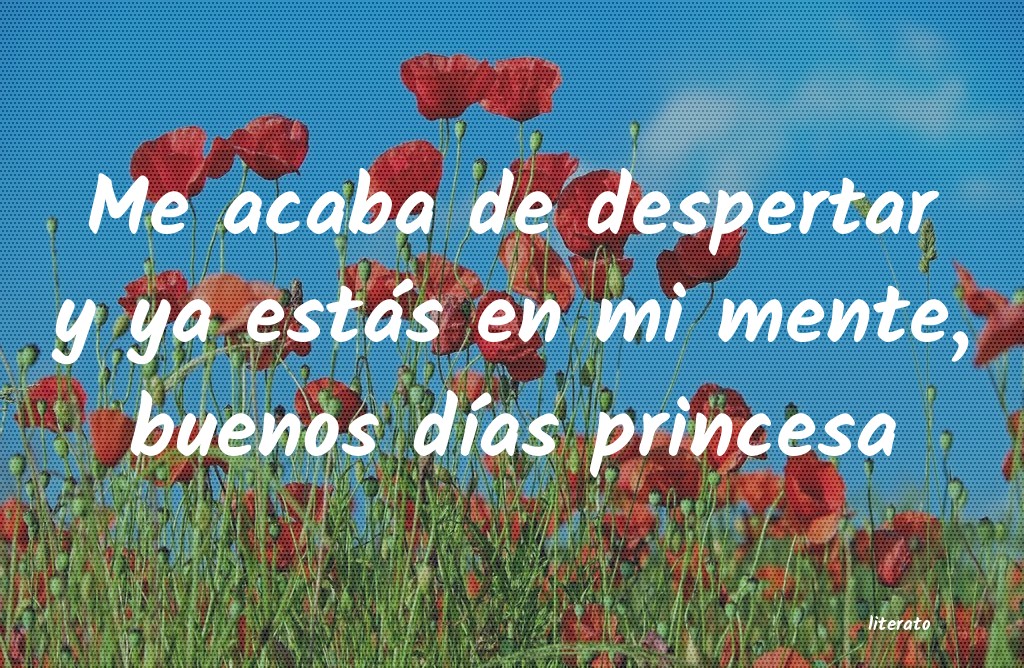 frases