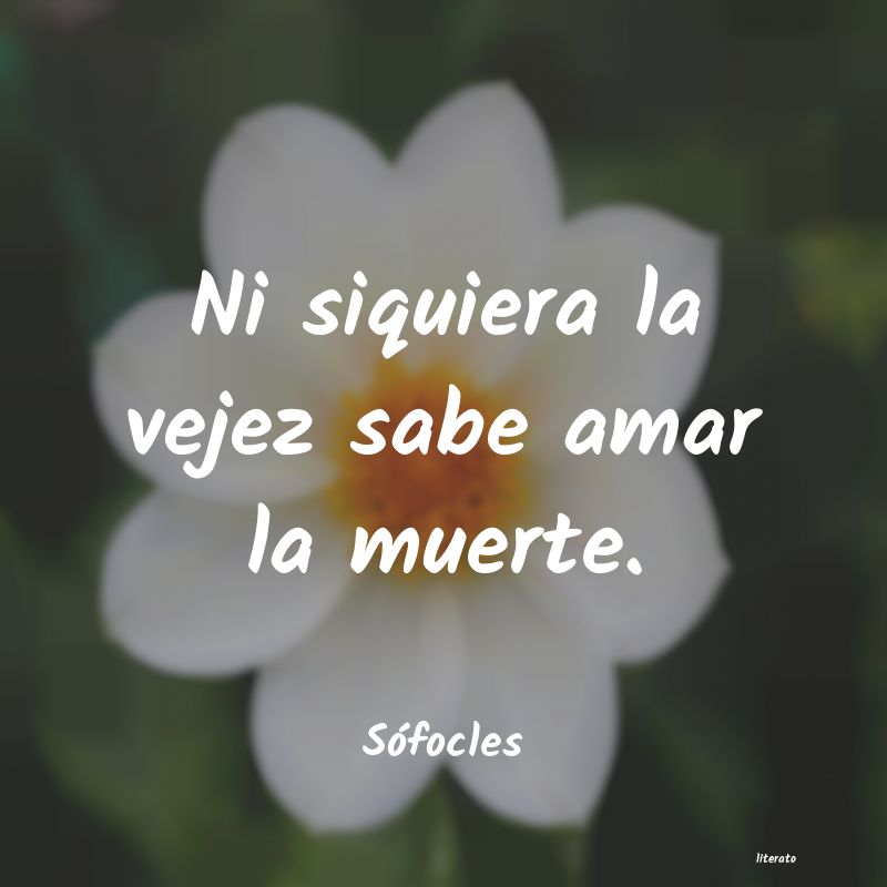 frases de Sófocles