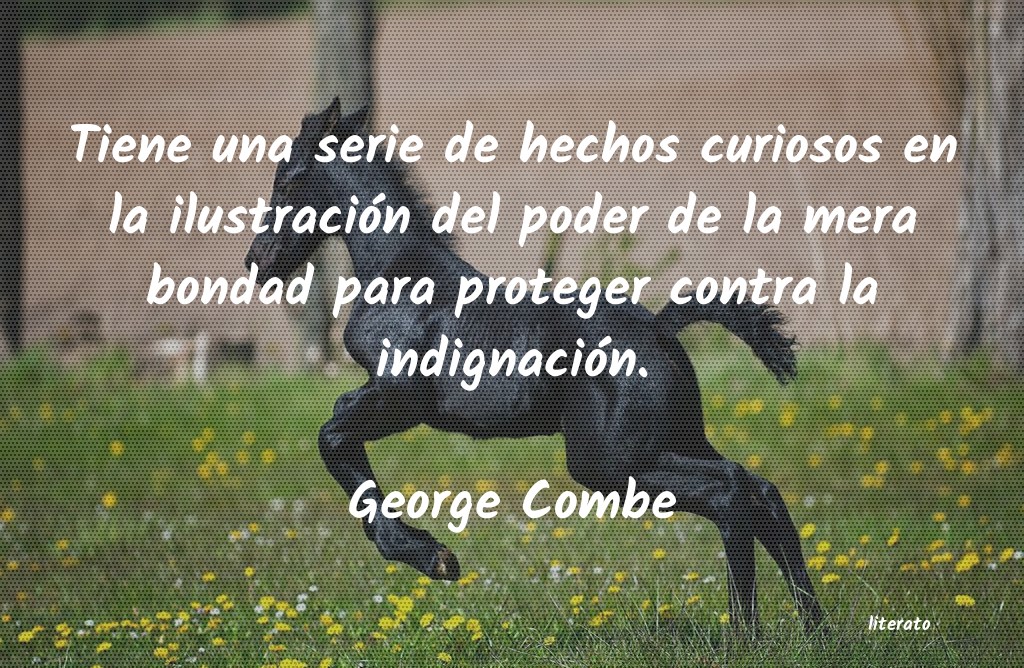 Frases de George Combe