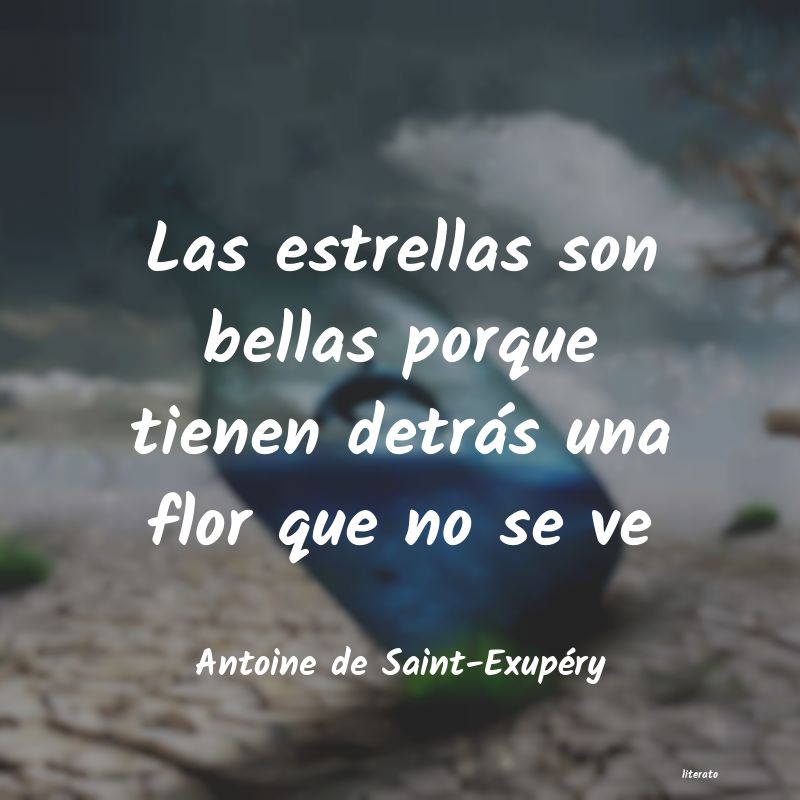 Frases de Antoine de Saint-Exupéry