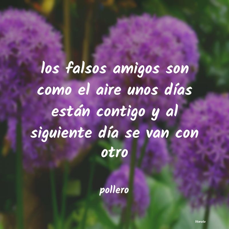 frases de pollero