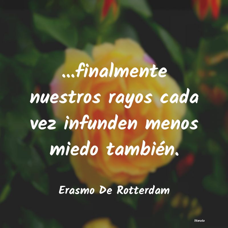 Frases de Erasmo De Rotterdam