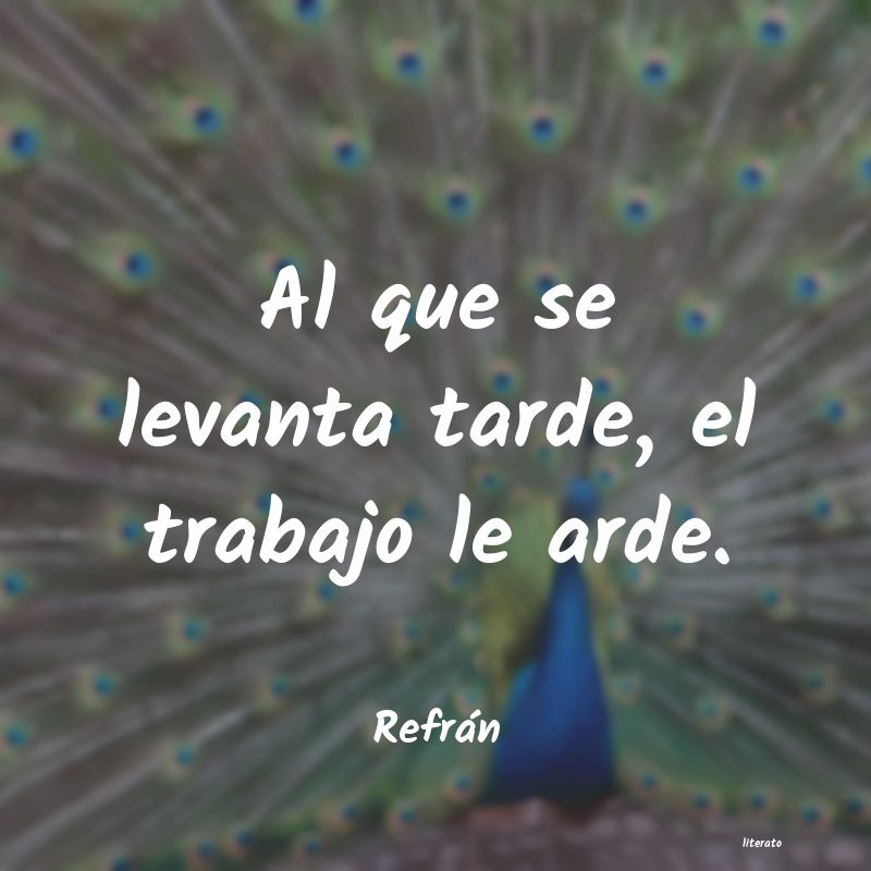 frases de Refrán