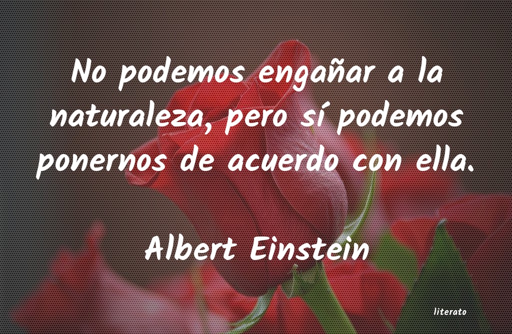 frases de Albert Einstein