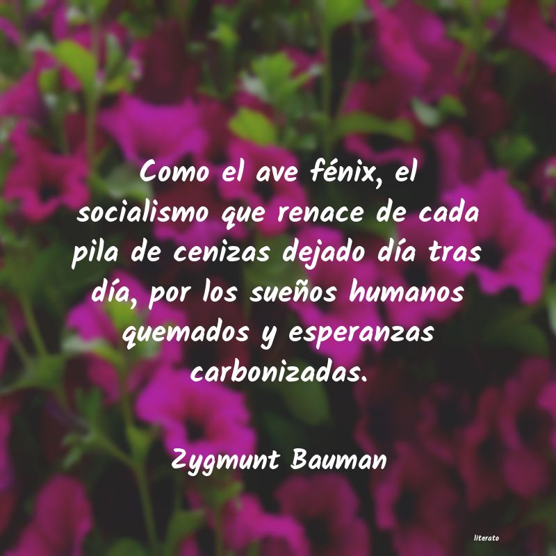 Frases de Zygmunt Bauman