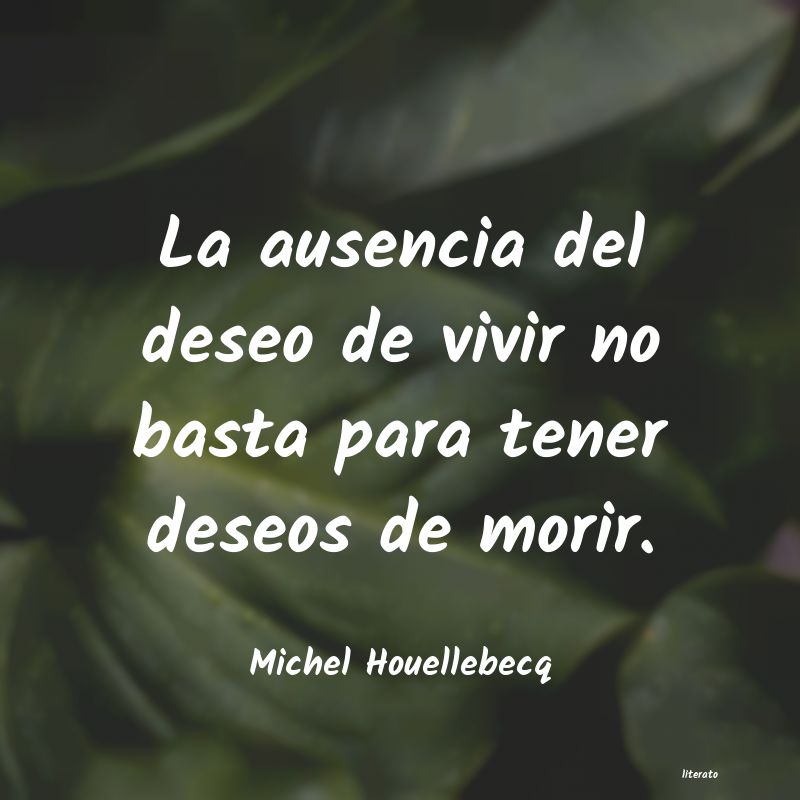 frases de Michel Houellebecq