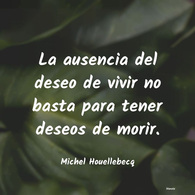 Frases de Michel Houellebecq