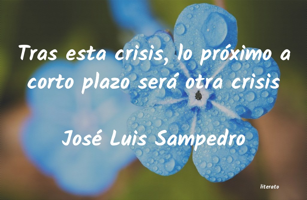 Frases de José Luis Sampedro