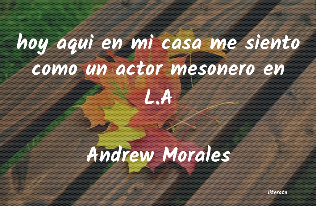 Frases de Andrew Morales