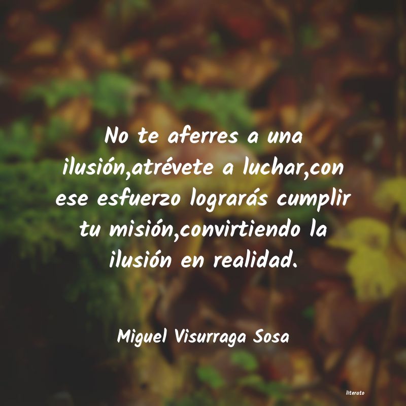 Frases de Miguel Visurraga Sosa