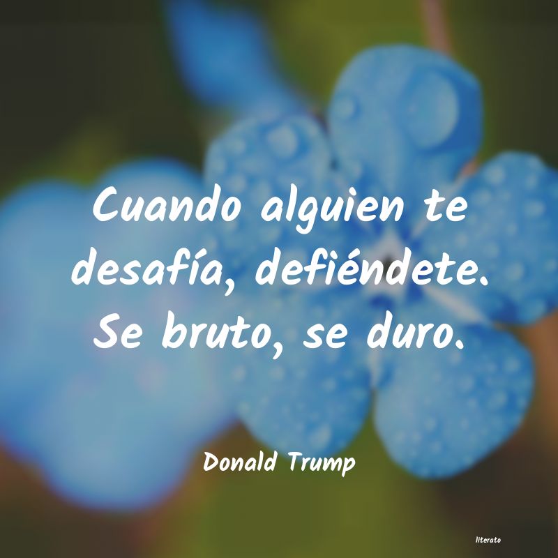 Frases de Donald Trump