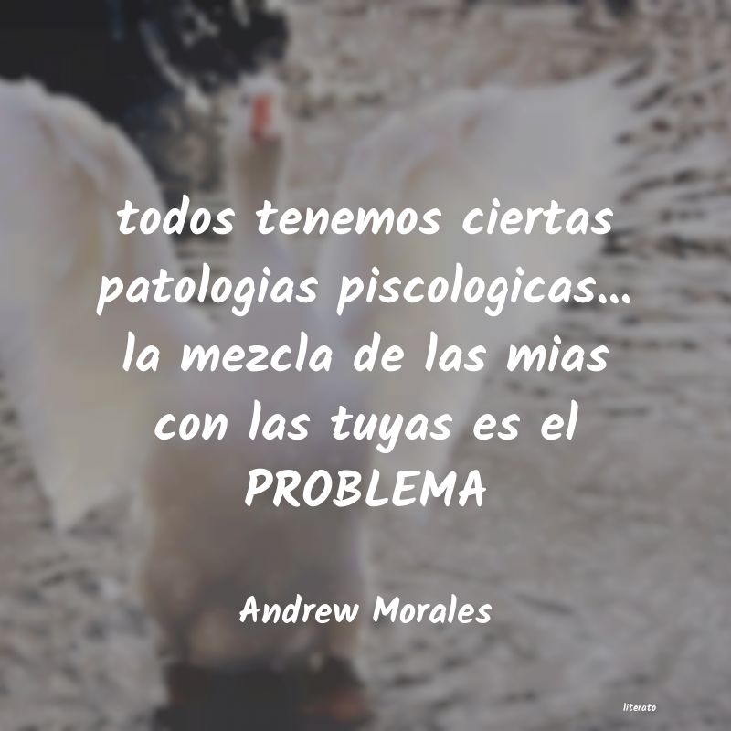 Frases de Andrew Morales