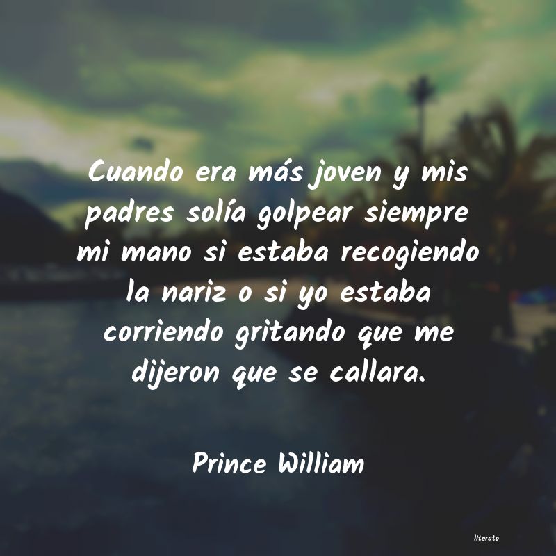 Frases de Prince William
