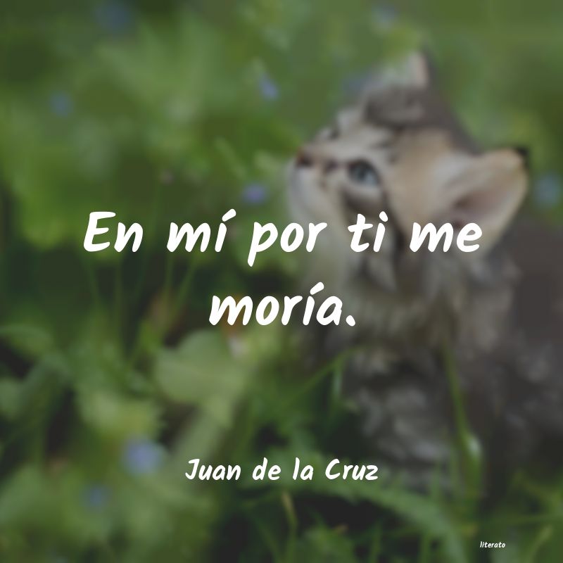 Frases de Juan de la Cruz