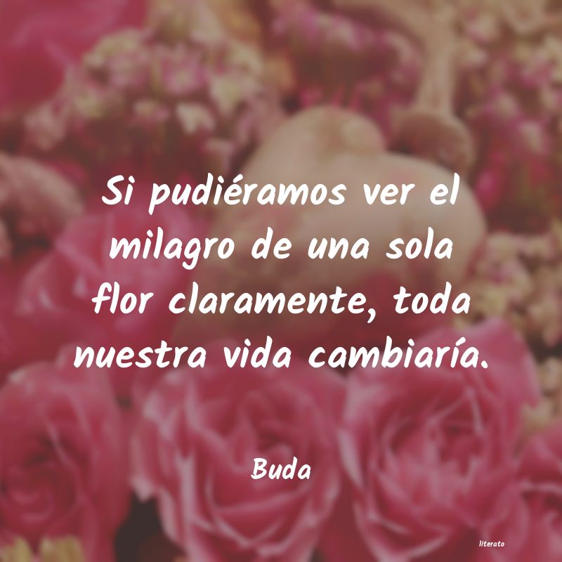 Frases de Buda